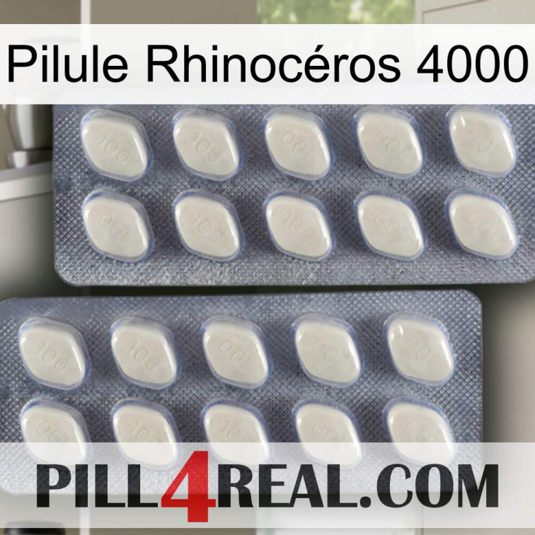 Pilule Rhinocéros 4000 07
